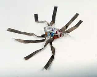 体温を測るためのカエル温度計。小さな色のついたボールが冷たい液体に浮かび、温度が上がると流れます。18世紀。フィレンツェ、アカデミア・デル・チメント