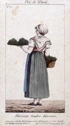 インゲン豆商人 - 「クリス・ド・パリ」に描かれています。19世紀