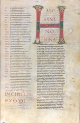 Haec sunt nomina：出エジプト記の頭文字、11世紀（細密写本、膜質写本）