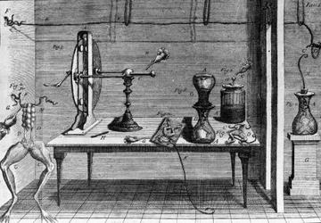 イタリアの物理学者・医師であるルイジ・ガルヴァーニ（1737〜1798）が、カエルの足に電流が流れることを説明した実験の図。