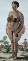 La Venus Hottentote, women of broad Bochiman; (The Hottentot Venus,) 1815年のエングレーヴィング。