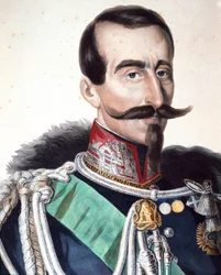 イタリアの将軍・政治家であるアルフォンソ・フェレーロ（ラ・マルモラ侯爵）の肖像（1804-1878