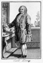 カール・フォン・リンネの肖像 スウェーデンの博物学者・作家（1707～1778年）。19世紀のSd.エングレーヴィング。