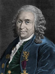 スウェーデンの博物学者、シャルル・リンネ（Carl von Linne, Linneus 1707-1778）の肖像。19世紀のエングレーヴィング。