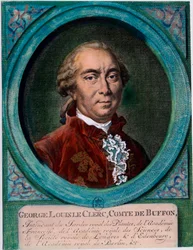 フランスの博物学者・作家であるビュフォン伯爵ジョージ・ルイ・ル・クレール（1707-1788）の肖像。18世紀のエングレーヴィング。個人蔵。