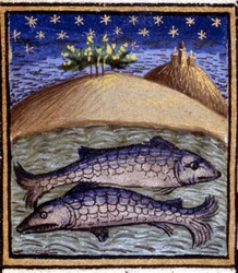魚座です。ホロスコープのミニチュア。15世紀の写本。ミラノのBibl.Trivulziana, Milan。