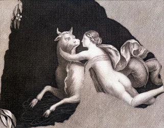 ヨーロッパの誘拐 - エングレービング