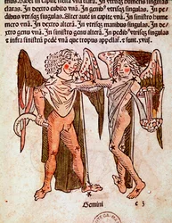 ふたご座の詳細は、ローマの歴史家ヒギン（Gaius Julius Hyginus）（紀元前1世紀）が作成した「Poeticon astronomicon」に由来します。