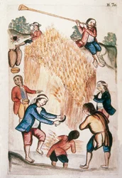 トルヒーヨ司教バルタサル・マルティネス・コンパニオン・イ・ブジャンダ（1782-1785）の著書「トルヒーヨ・デル・ペルー」（「Códice Martínez Compañón」）に掲載されている収穫の様子。