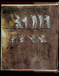 紫色のロサネンシス写本、6世紀