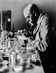 ドイツ人医師ロバート・コッホ（1843-1910）の研究室での肖像。