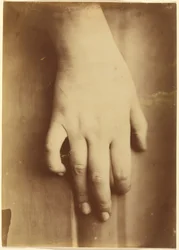手の習作、1865年（写真）