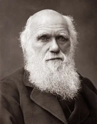 イギリスの博物学者、チャールズ・ロバート・ダーウィン（1809-1882）。