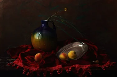 『ダーク・ベルベットの静物画』