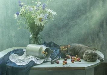 眠る猫とさくらんぼ