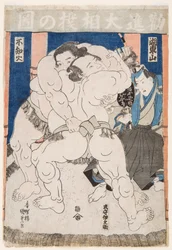Combat de lutteurs de Sumo.Estampe de Utagawa Kunisada (1786-1865) - Sumo wrestlers in Action, by Kunisada (Toyokuni III), Utagawa (1786-1865).カラー木版画。寸法：37,5x26 cm。個人蔵