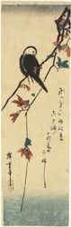 （メイプルブランチの鳥）、1830-1858