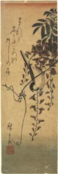 （藤枝の鳥）