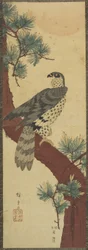 （ホーク・オン・パイン・ブランチ、夏）、1853年9月