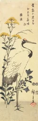 （パトリニア、中国のベルフラワーと鶴）、1853年3月