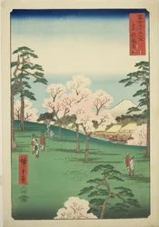 連載「富嶽三十六景」より 東都飛鳥の丘（東都飛鳥山）