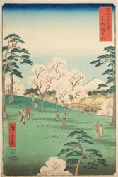 「富嶽三十六景」より 東都飛鳥の丘（東都飛鳥山）