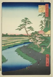 名所江戸百景』より「関口上水畑芭蕉庵椿山」。