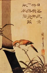 鳥と竹、1830年頃（色木版画）
