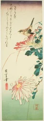 鳥と菊