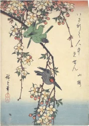 桜の枝の鳥