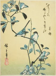ツバキの枝の鳥