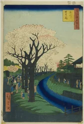 名所江戸百景「多摩川堤の花」より