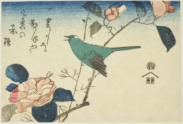 ウグイスとツバキ