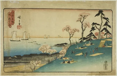 御殿山の花 江戸名所 御殿山の花