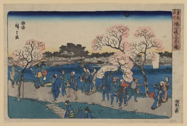 Cherry blossoms along Sumida River. Sumida tsutsumi hanami no zu