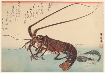 ザリガニと2つのエビ、グレートフィッシュシリーズ（1832年に開始）、1840（カラー木版画）