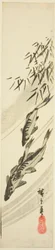 小川で魚を釣る