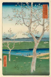 越谷、武者、富士、シリーズ&39;36富士山。富士」（「富士茶流六景」）、（カラー木版）