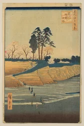 名所江戸百景より 品川御殿山