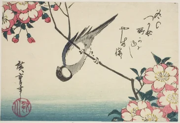 桜の枝にシジュウカラ