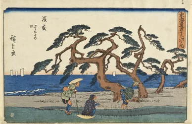 浜松：ざわめく松