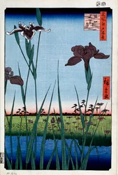 堀切の菖蒲 名所江戸百景 1856-1858.