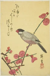梅の枝に文鳥