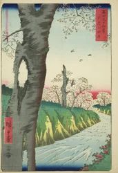 富嶽三十六景 武蔵小金井（むさしこがねい）