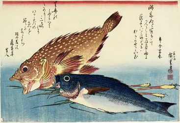 スコーピオンフィッシュ、チキン・グラント、ジンジャー・シュート、c。 1832