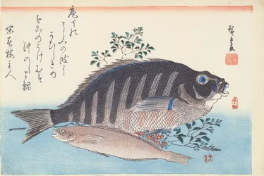 島田と愛名、シリーズ「大魚」、歌川校、c。 1840-42（紙に木版の手彩色印刷）
