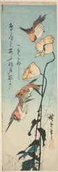 Sparrows and poppies   1301129   ja       japanese Successfully Translated  Original: Türkischer Bazar Translat: Türkischer Bazar 1348819 ja japanese Successfully Translated Original: Illustration for Puss in Boots (colour litho) Translat: Illustration for