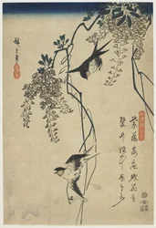 藤のツルを飛ぶツバメ、1837-44（色木版画）