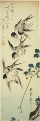 ツバメと開花枝