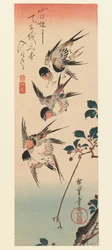 タンザク、四ツバメ、1832年（色木版画）